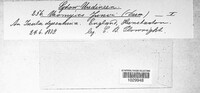 Uromyces geranii image